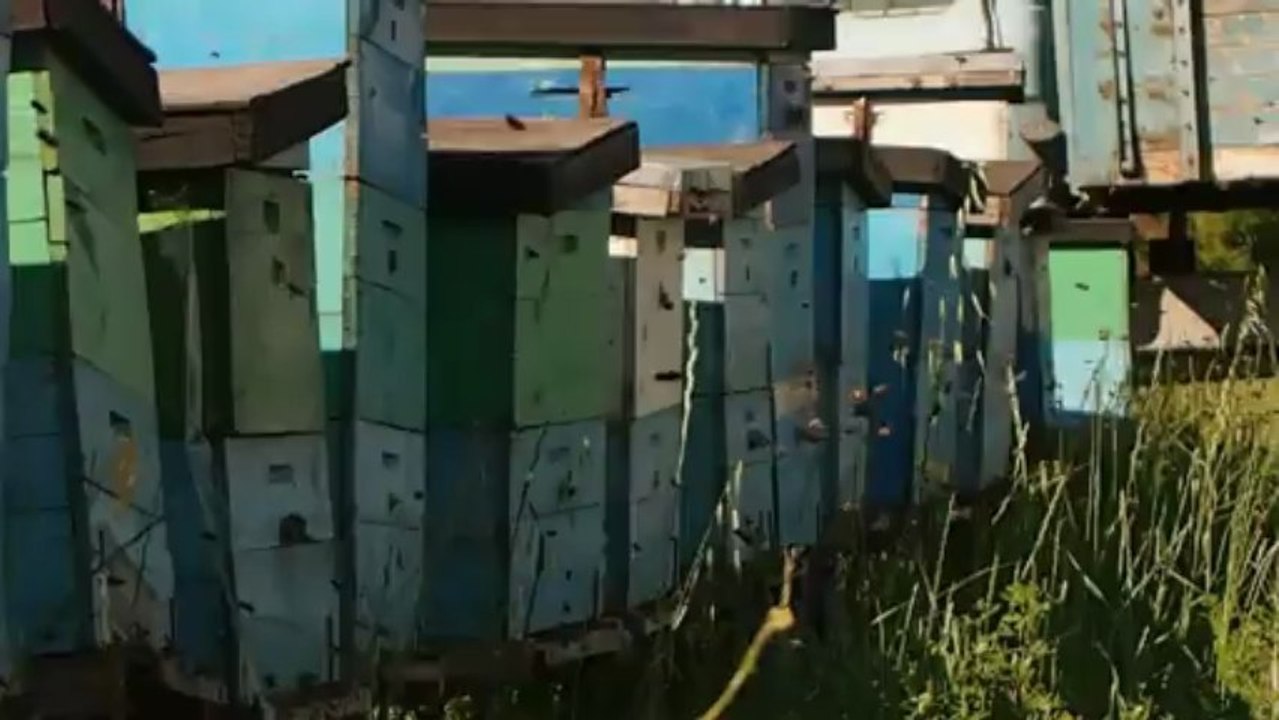 Roues-Libres / Dedicace a Pierre - Azerbaijan