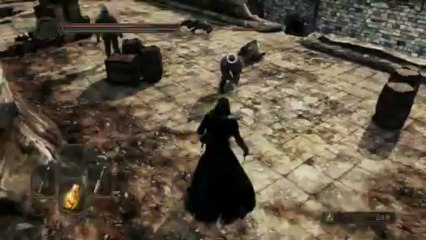 Dark Souls 2 - Dual Swordsman Gameplay