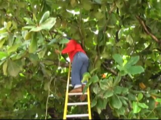 Equipo técnico de Telemontelibano en compañía de empresa SIDITEL realizan la reubicación de las líneas de fibra óptica