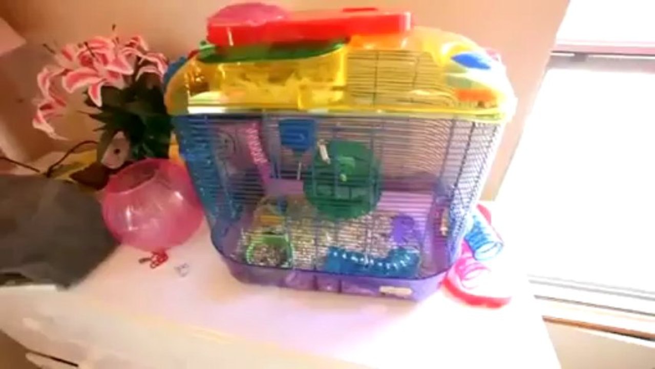 Your Search for a Web Hosting Site ends here - GVO