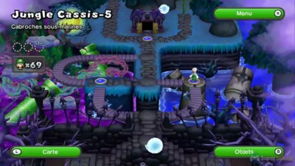 Soluce New Super Luigi U : Niveau 5-5 Passage secret