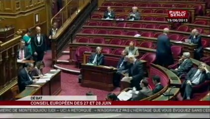 SEANCE,Débat préalable au Conseil Européen des 27 et 28 juin