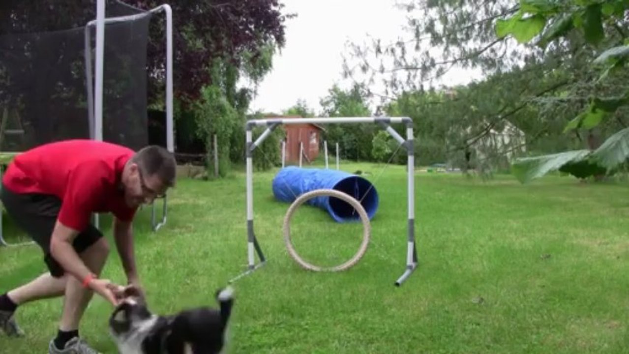 iokko agility S2 4 mois et demi