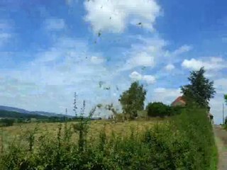 Tornade à Sanvignes en Saône-et-Loire (0207132