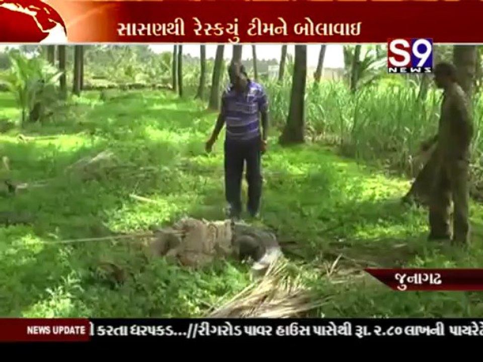 S9news_Surat28-06-2013