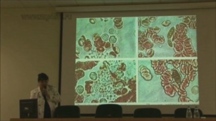 ТРАНСФЕР ФАКТОРЫ - факторы переноса ИММУНИТЕТА