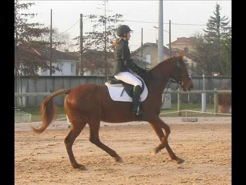 baccara je t'aime