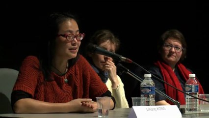 Journée Wang Bing à l'institut de l'image - 4ème partie - Rencontre avec Lihong Kong