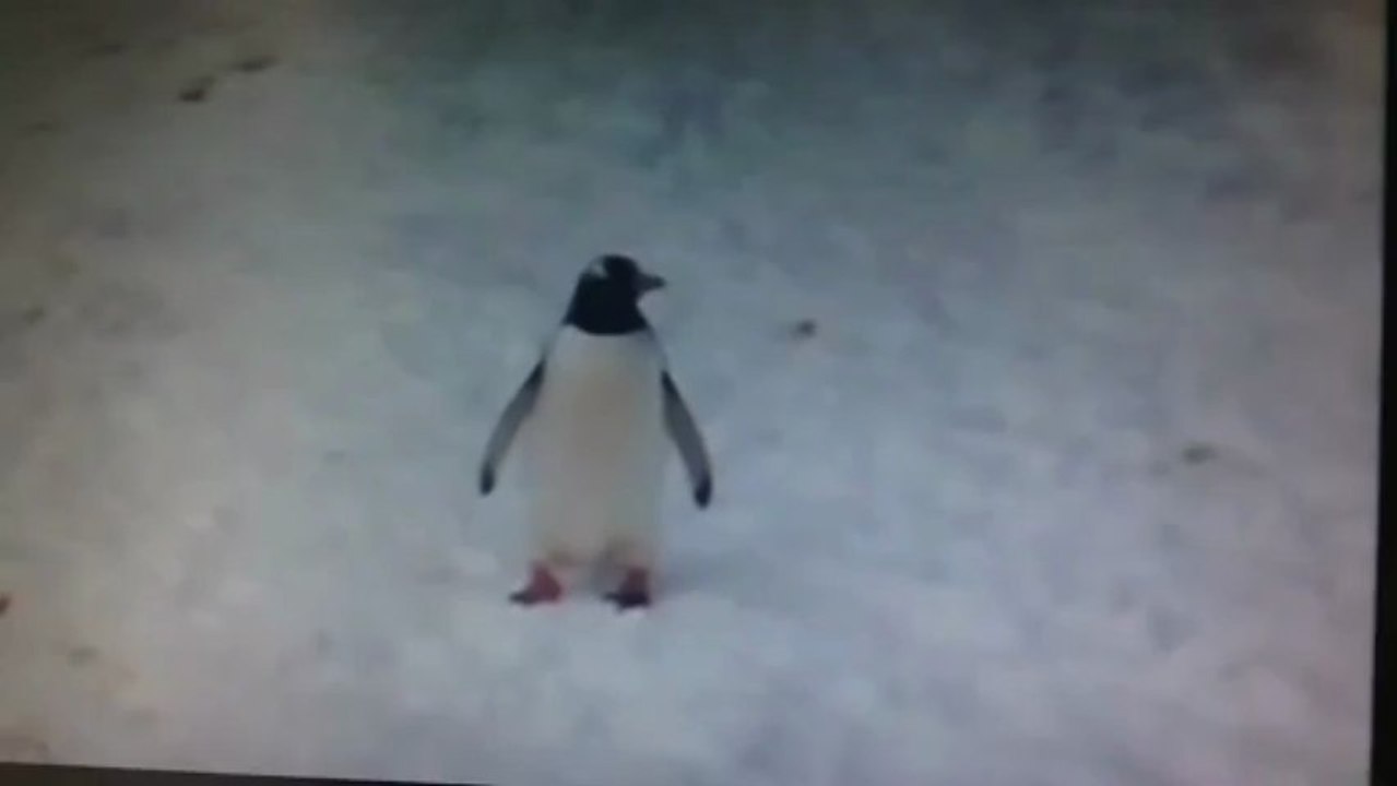 It's a long title it's a long title it's a long title it's a long title it's a long title