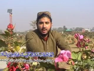 Sohail Ahmed New Naat Vol 24 2013 Da Arman Jara 5