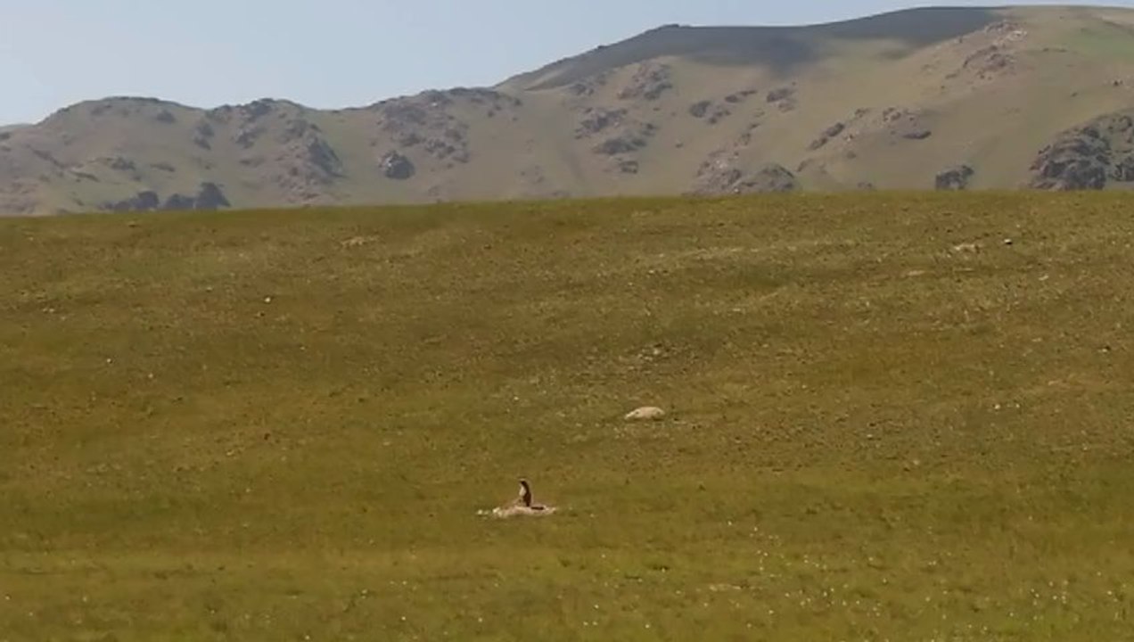 Roues-Libres / Elle met le chocolat dans le papier d'alu... - Kazakhstan