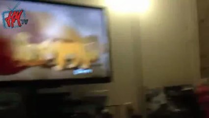 sevimli köpek aslan kral izlerse