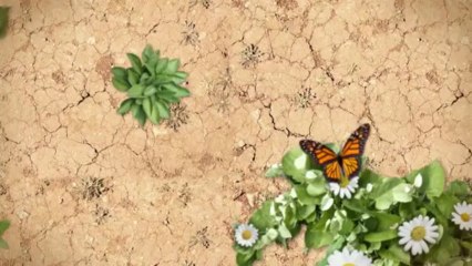 Where to find the best Handyman Services