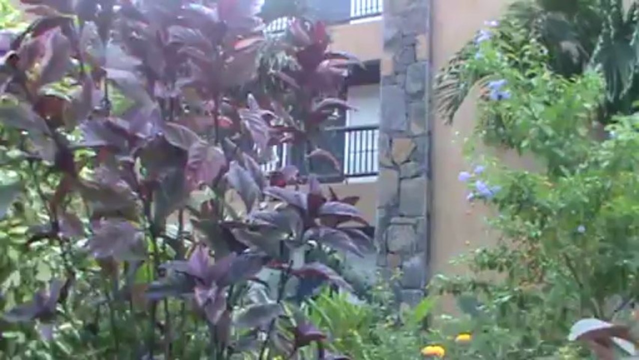 Mauritius Hotel Veranda Pointe Aux Biches Pointe Aux Piments Mauritius