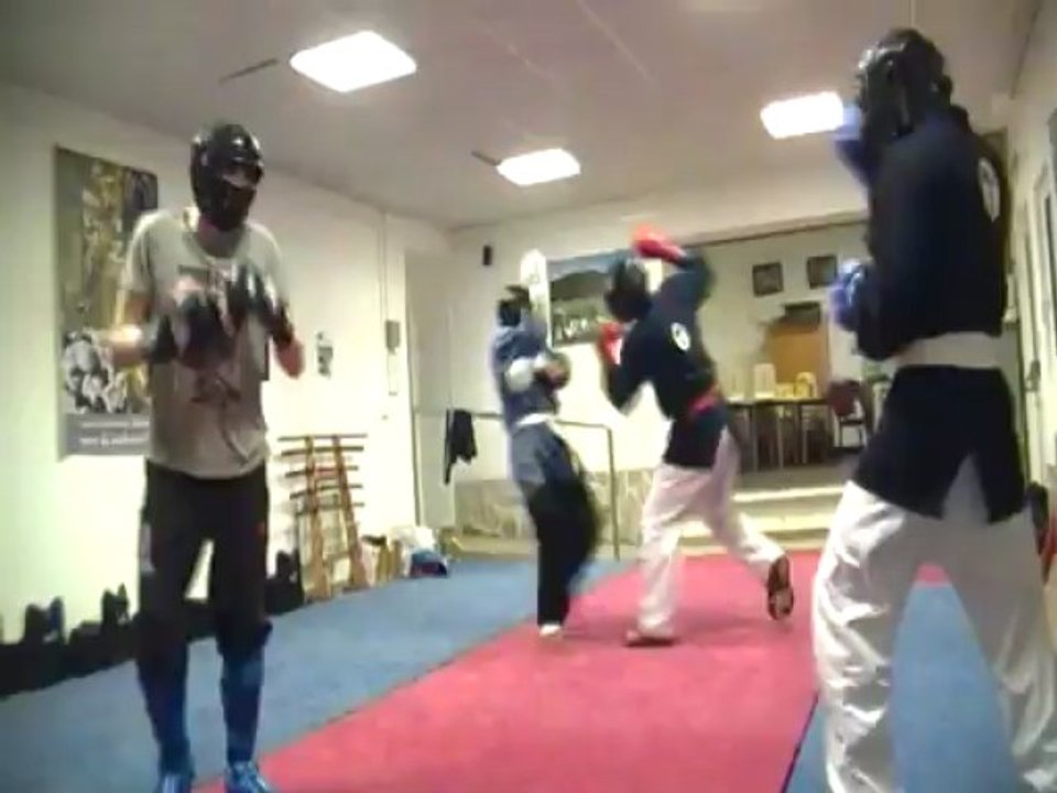 randori kenpo  2  18fév2013