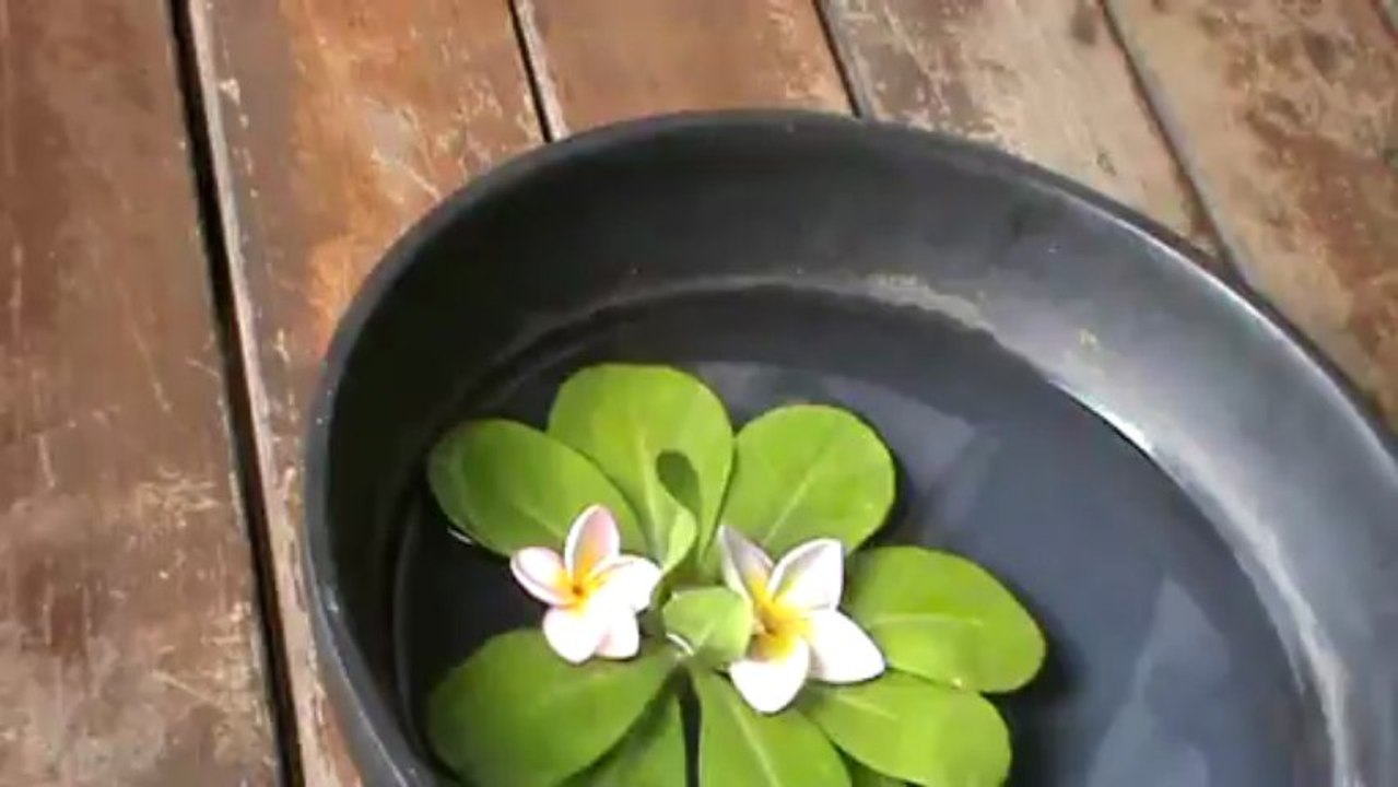 Mauritius Hotel Veranda Pointe Aux Biches Pointe Aux Piments Mauritius