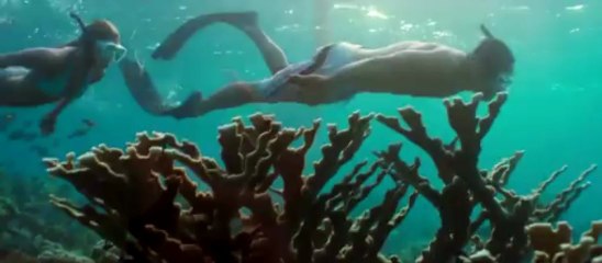 Anatoly Sem - "Wonderful Life"