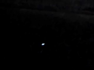 occhi luminosi di gatto nero.