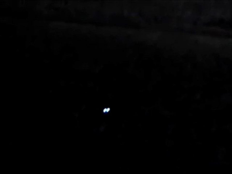 occhi luminosi di gatto nero.