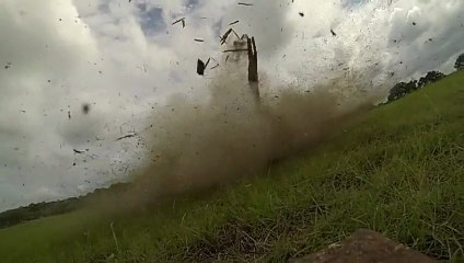 A butterfly saved from an explosion! Awesome!