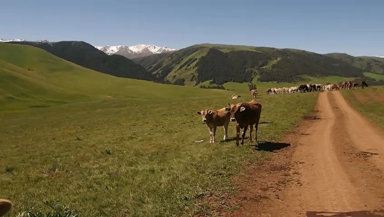 Roues-Libres / Faut pas me suivre - Kazakhstan