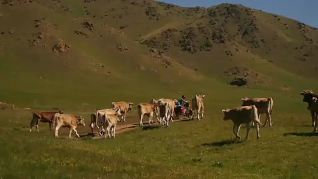 Roues-Libres / Nouvelle bergere - Kazakhstan