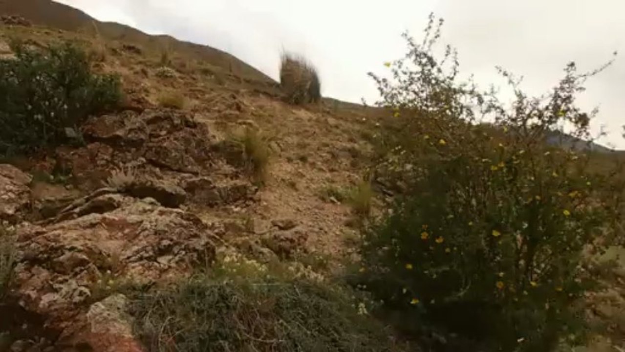 Roues-Libres / On pousse - Kazakhstan