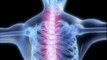 Mount Prospect Chiropractor Defines Back Pain and Chiropractic