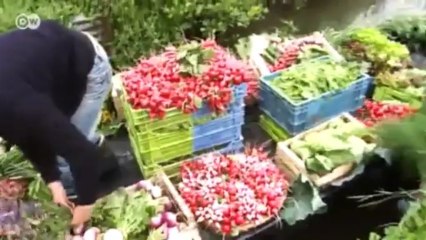 Los jardines flotantes de Amiens | Euromaxx