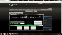 Steam Wallet Hack v2 1 - Hack Steam (June - 2013)