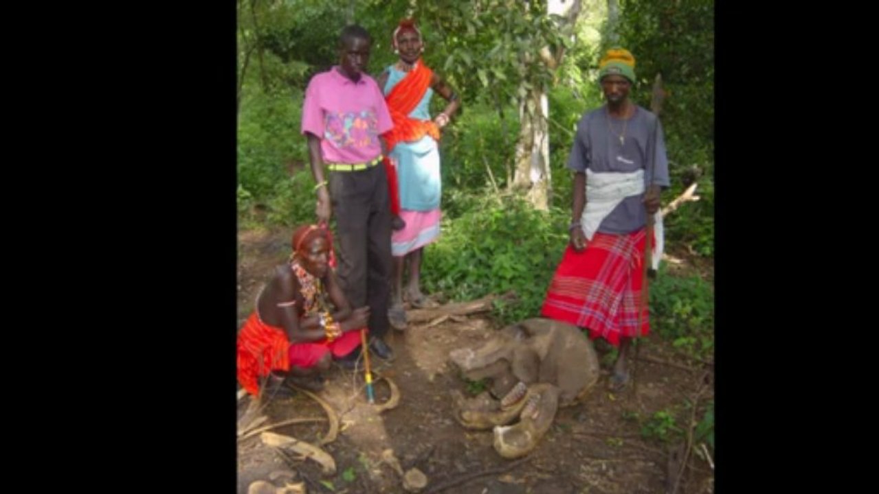 Mapping Ivory Poaching Data to Save the African Elephant