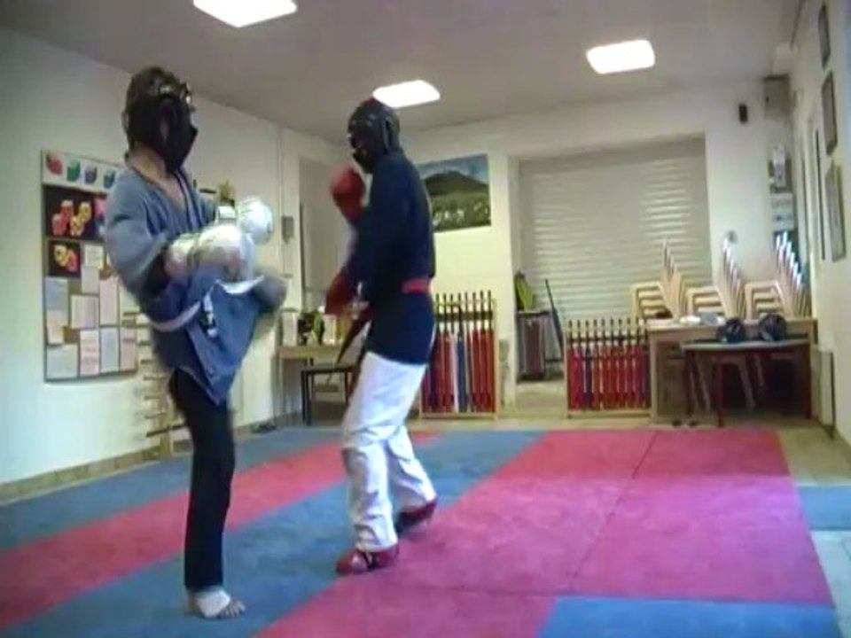 randori kenpo 7  le 24 juin 2013