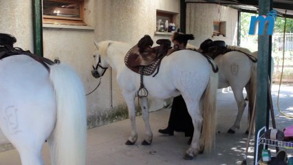 En Camargue, la bombe n'explose pas !