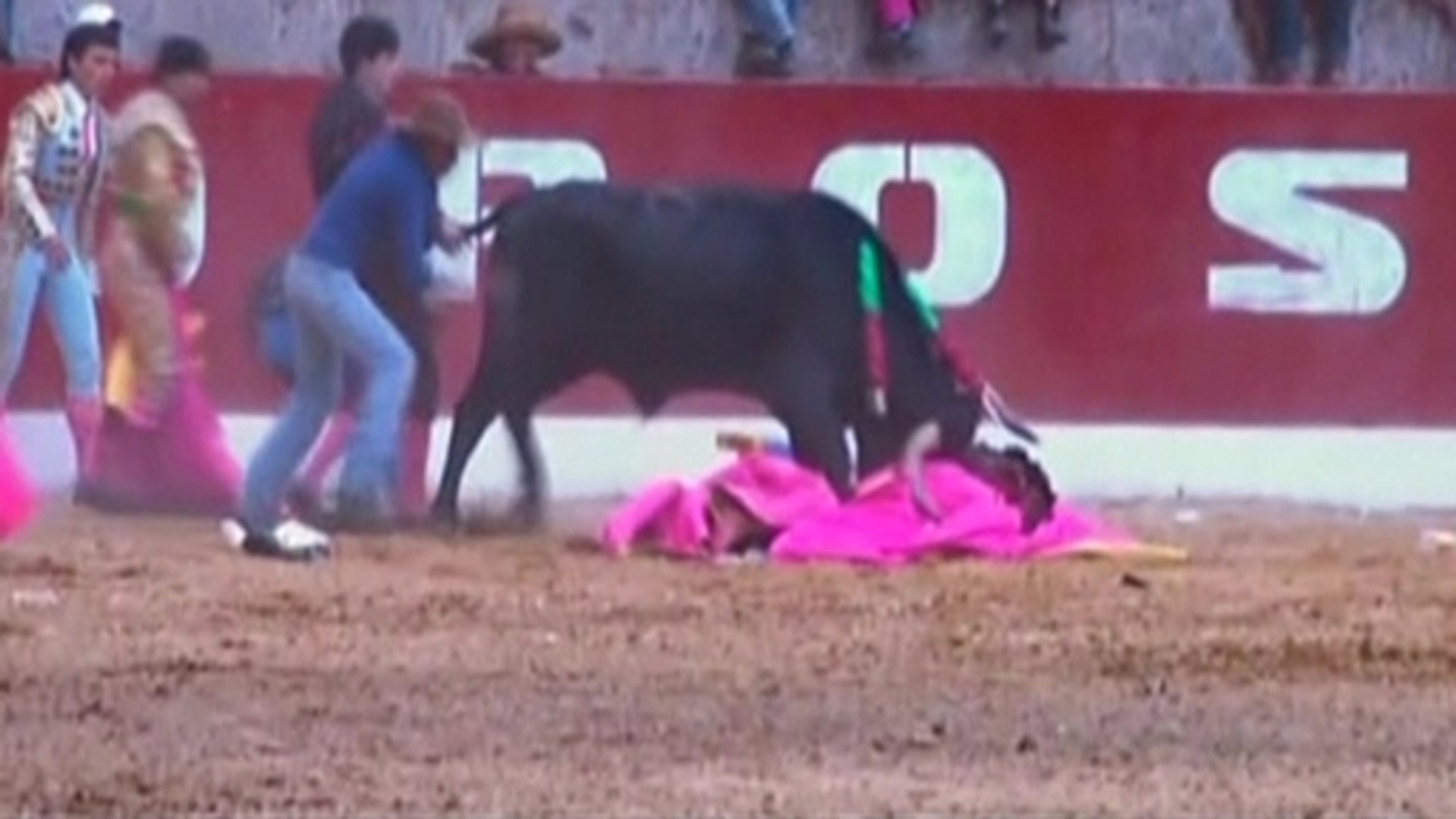 ⁣Peruvian bullfighter loses against bull, gets gored