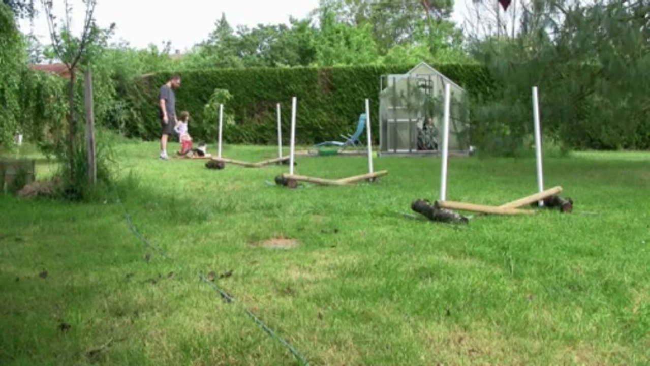 iokko agility S3 4 mois et demi