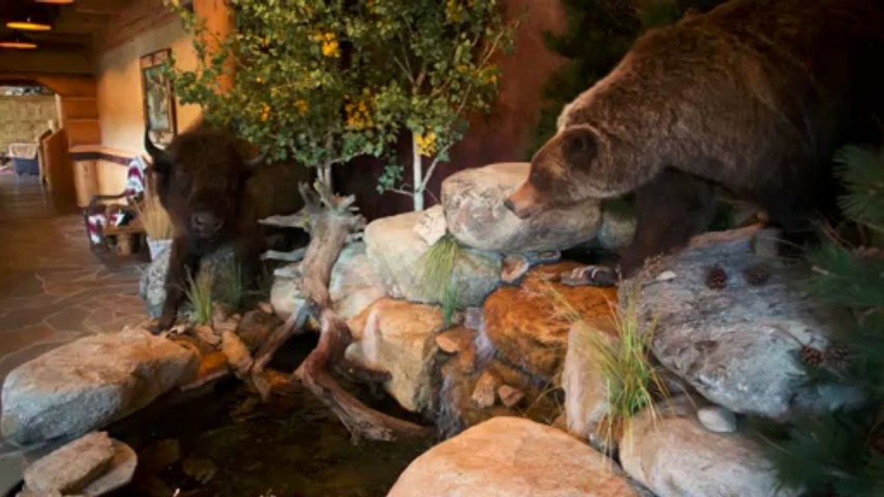 Montana Ranches For Sale - Elk Ridge Ranch | Fay Ranches