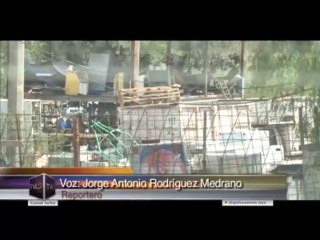 Recolectores de Basura