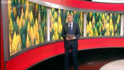 BBC Wales Today - 25/6/13