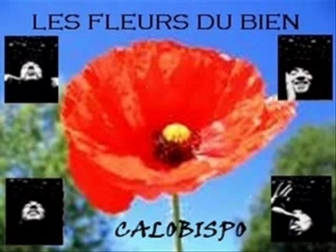 PASCAL LES FLEURS DU BIEN