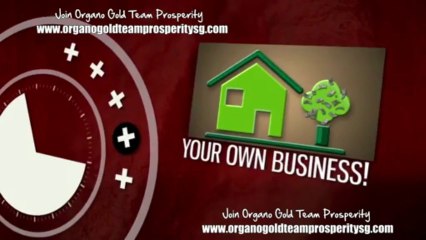 Is Organo Gold A scam  Singapore