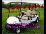 xe dien cho khach du lịch ... mobile: 0164 974 2377 mr phong