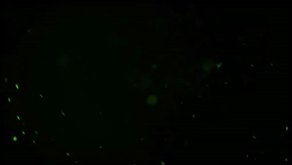 Ristilizzazione network - Proposta 12 (sigla, intro, tour)