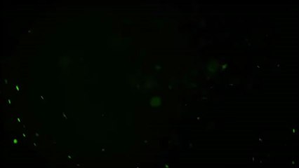 Ristilizzazione network - Proposta 8 (sigla, intro, tour)