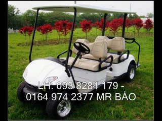 xe dien cho khach  ... hotlie: 093 8284 179 mr bảo