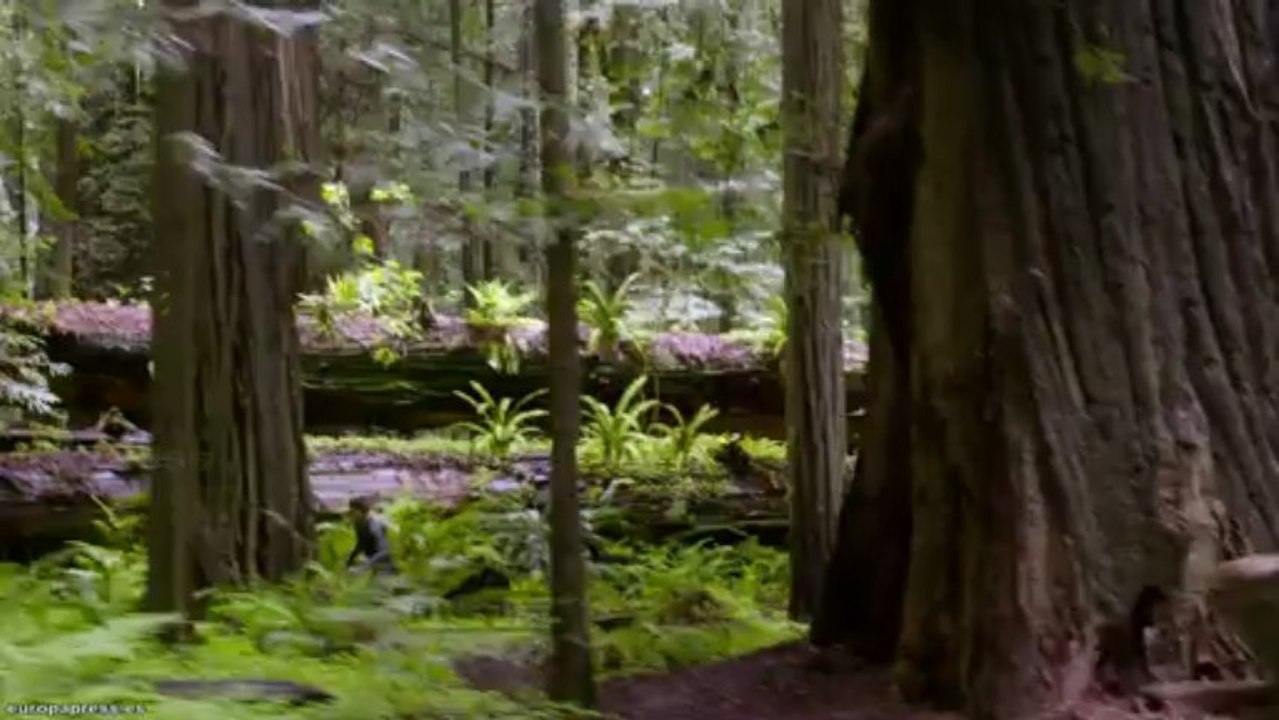Estreno de cine 'After Earth'