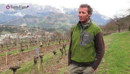 Cyrille Copier viticulteur de Die par Jacques Legros