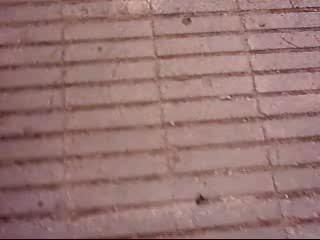 Parkour JuMp-Do CrEw