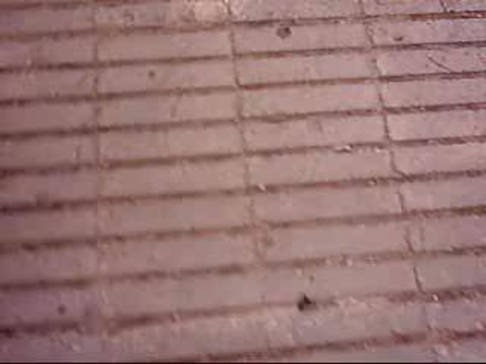 Parkour JuMp-Do CrEw