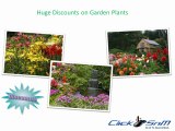 Choose Garden Discount Coupons to save on Plants and Garden Accessories