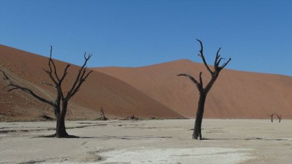 Le Namib, l'ancêtre de tous les déserts / Décollage immédiat